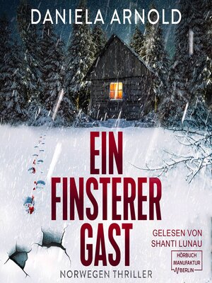 cover image of Ein finsterer Gast--Norwegen-Thriller (ungekürzt)